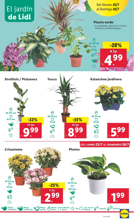 Número de página 21 del folleto promocional de la tienda Lidl - Marca la djferencja. Solo hoy lunes 2 de julio - fecha de vigencia: desde22.07 bis 28.07