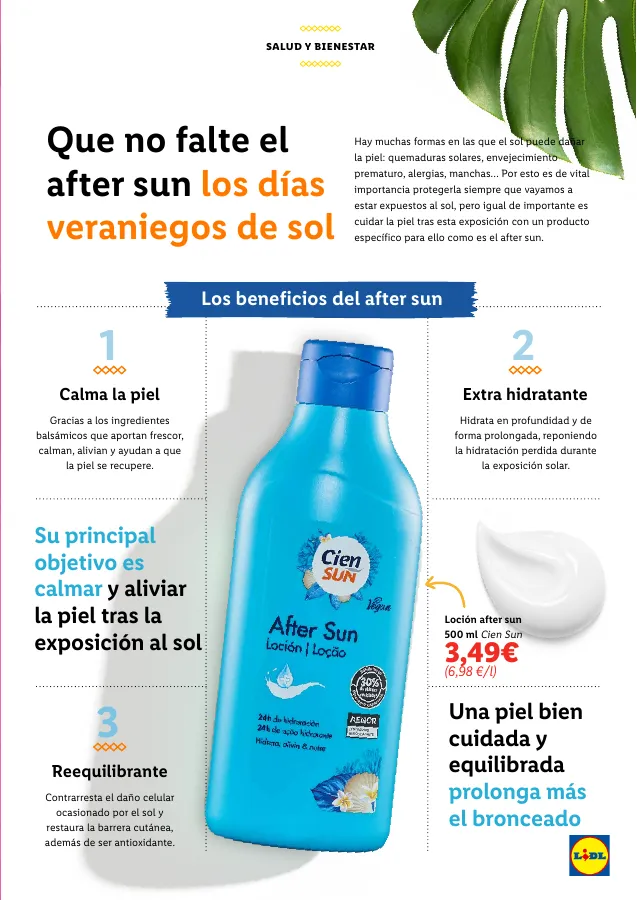 Número de página 53 del folleto promocional de la tienda Lidl - in lidl no hay verano sin helados - fecha de vigencia: desde01.07 bis 31.07