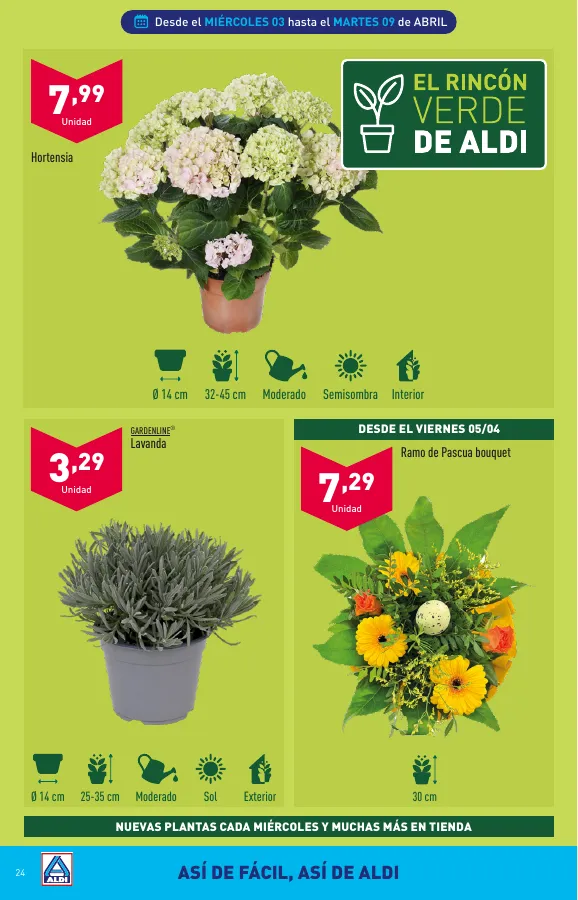 Número de página 24 del folleto promocional de la tienda Aldi - Folleto semanal - fecha de vigencia: desde03.04 bis 09.04