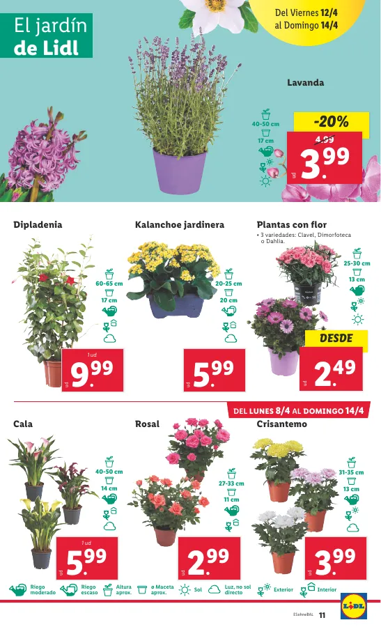 Número de página 29 del folleto promocional de la tienda Lidl - FOLLETO BAZAR 8/4 - fecha de vigencia: desde01.04 bis 08.04