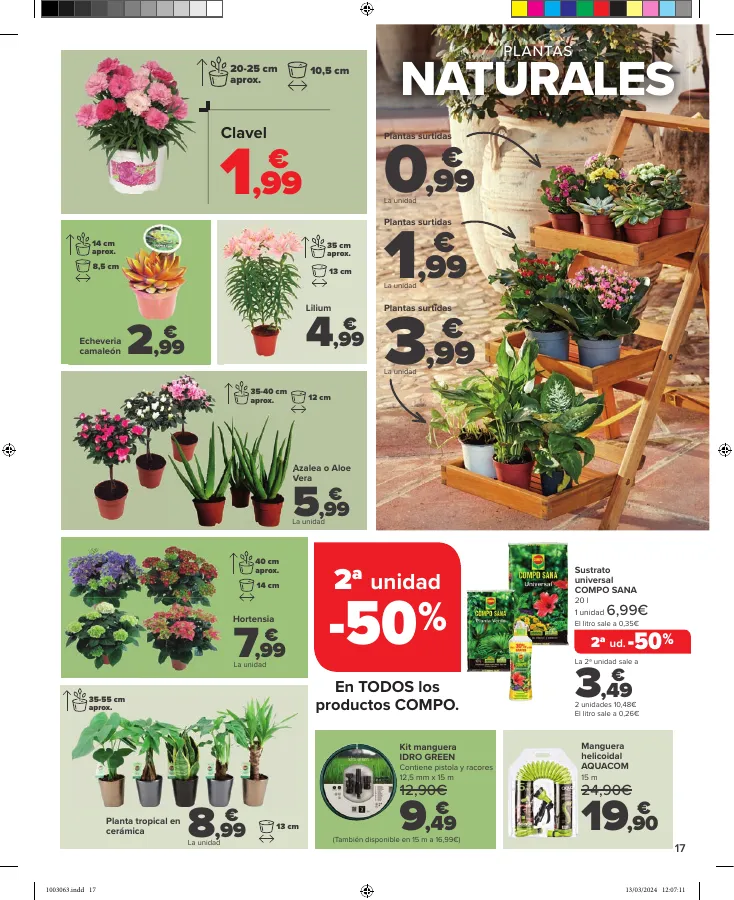 Número de página 17 del folleto promocional de la tienda Carrefour - JARDIN (Conjuntos jardín, sillas playa, piscinas, plantas y barbacoas) - fecha de vigencia: desde15.03 bis 17.04