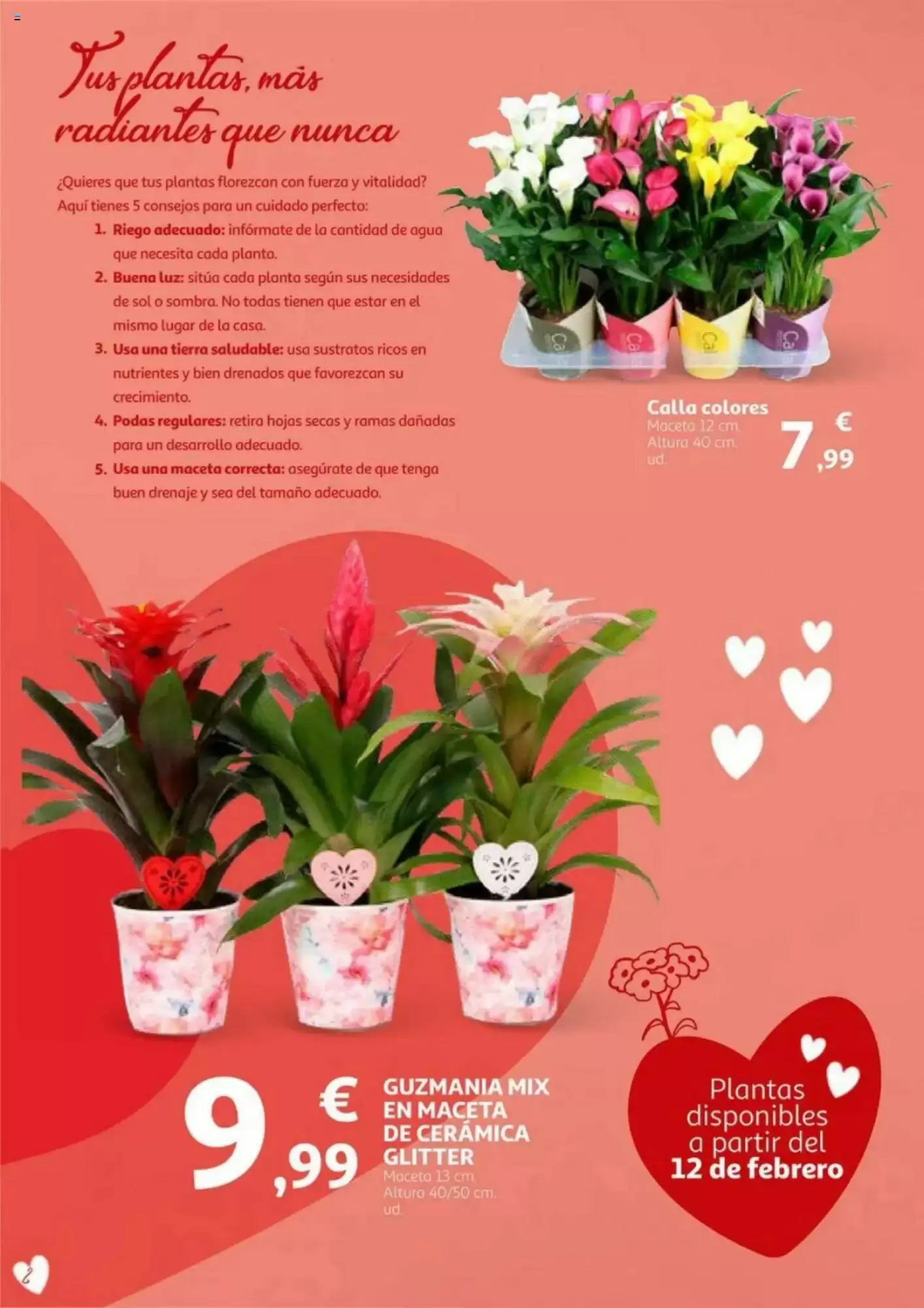 Número de página 2 del folleto promocional de la tienda Alcampo - En San Valentin sales ganando - fecha de vigencia: desde01.02 bis 14.02