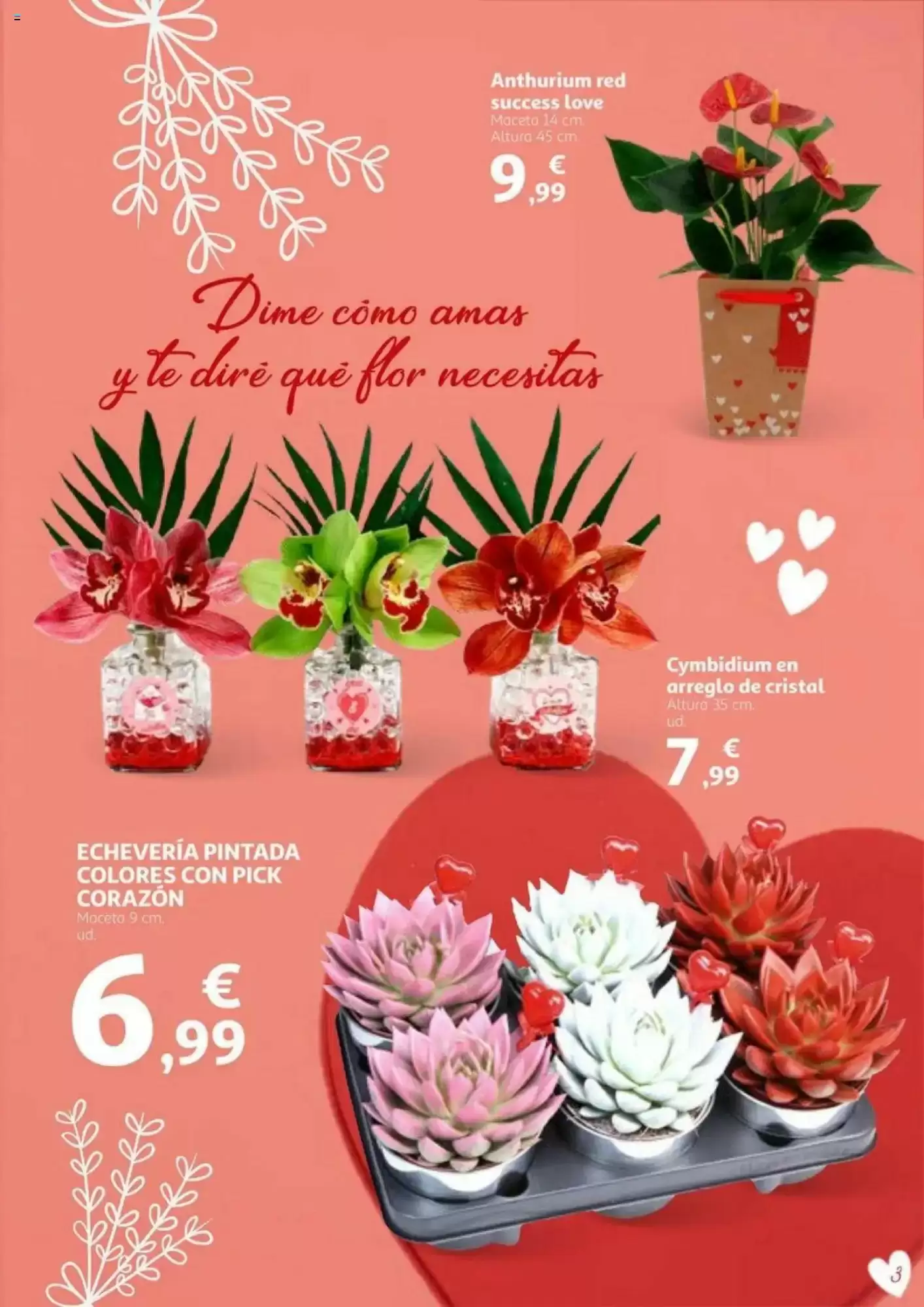 Número de página 3 del folleto promocional de la tienda Alcampo - En San Valentin sales ganando - fecha de vigencia: desde01.02 bis 14.02