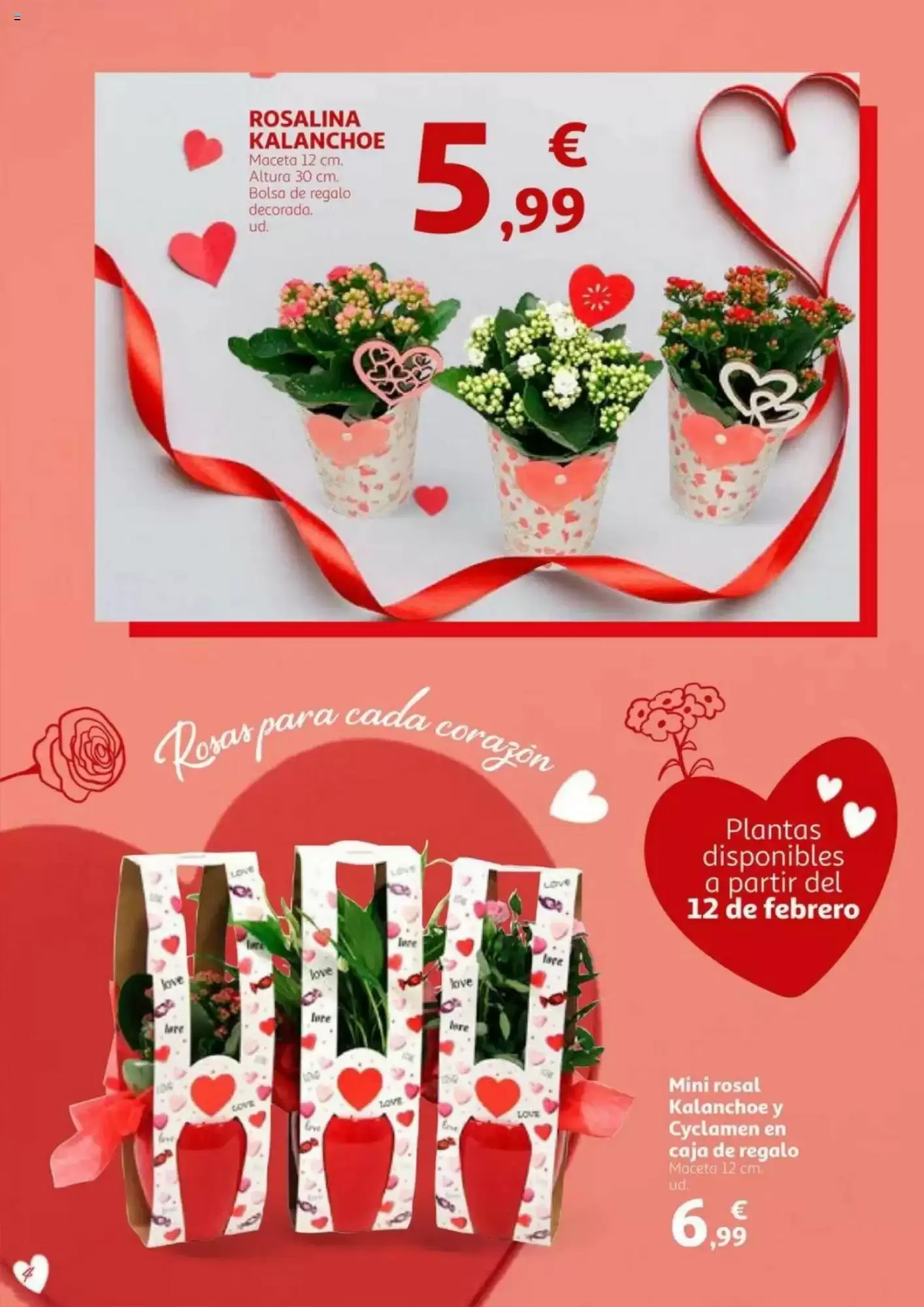 Número de página 4 del folleto promocional de la tienda Alcampo - En San Valentin sales ganando - fecha de vigencia: desde01.02 bis 14.02