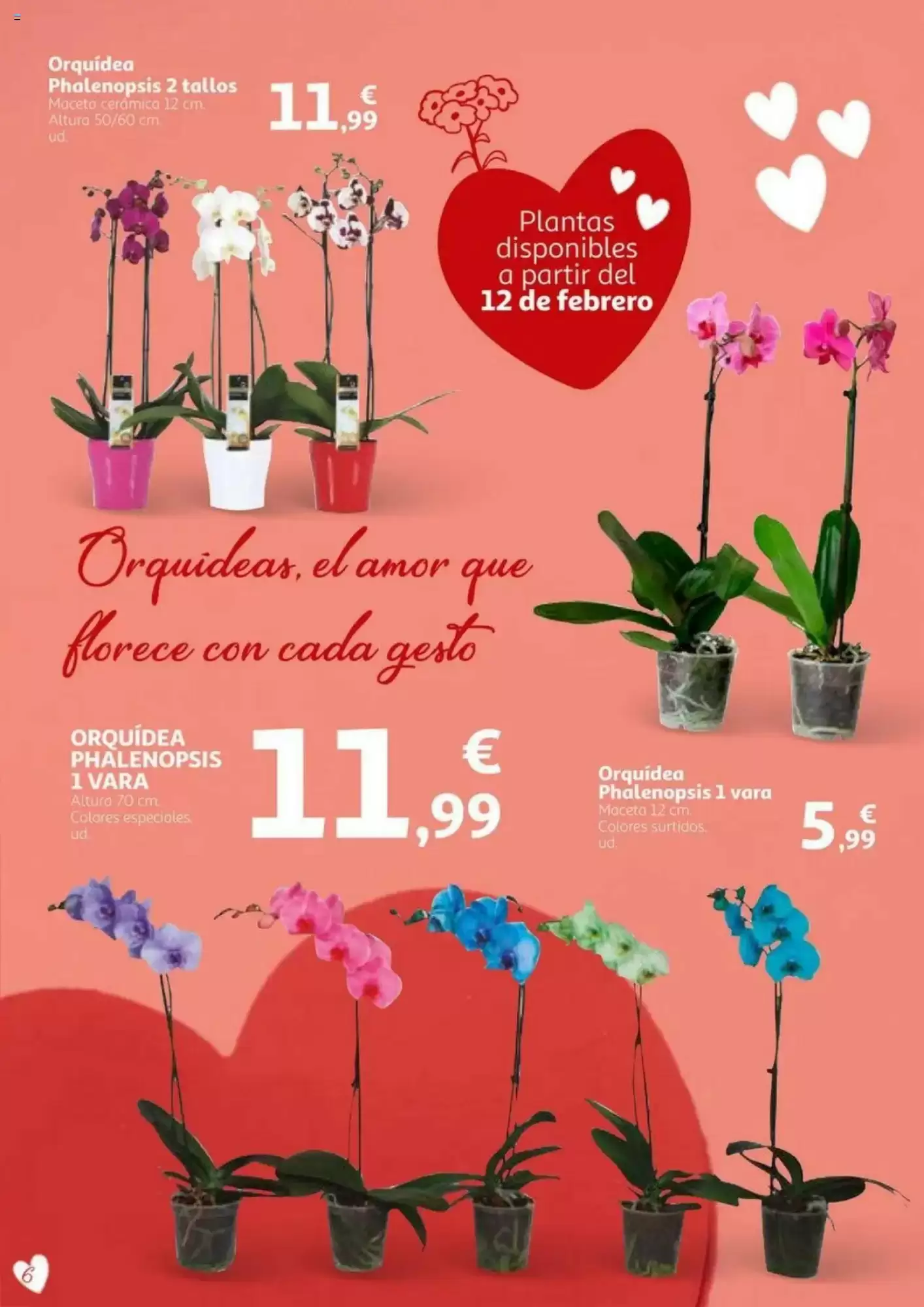 Número de página 6 del folleto promocional de la tienda Alcampo - En San Valentin sales ganando - fecha de vigencia: desde01.02 bis 14.02