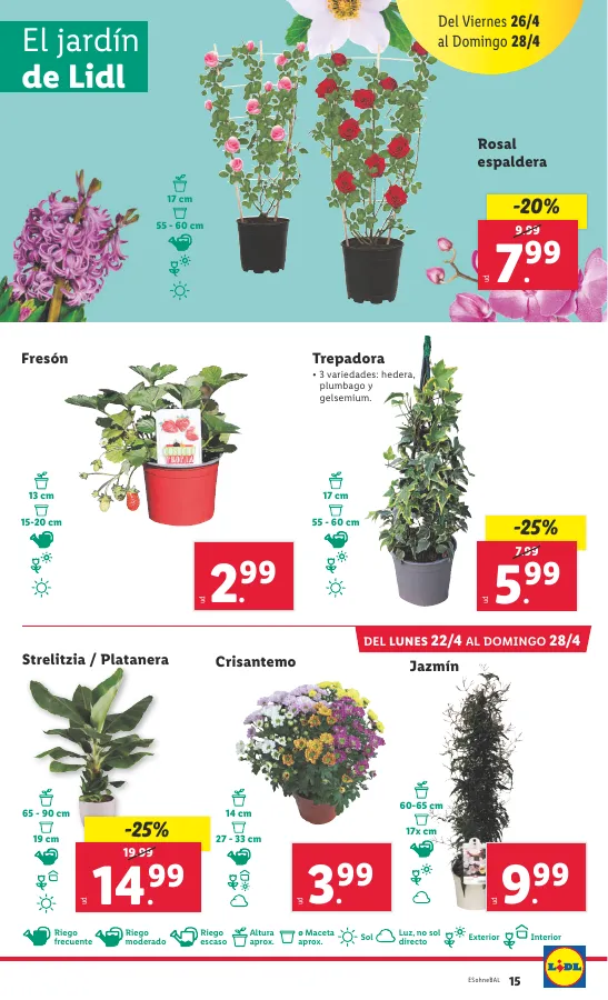 Número de página 15 del folleto promocional de la tienda Lidl - Super ofertas  - fecha de vigencia: desde22.04 bis 28.04