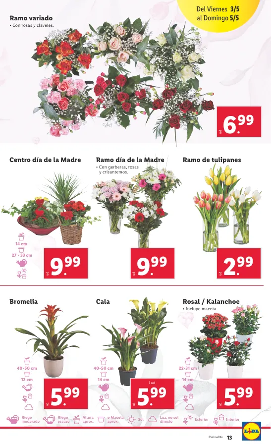 Número de página 13 del folleto promocional de la tienda Lidl - Bajamos los precios ermanentemente - fecha de vigencia: desde29.04 bis 05.05