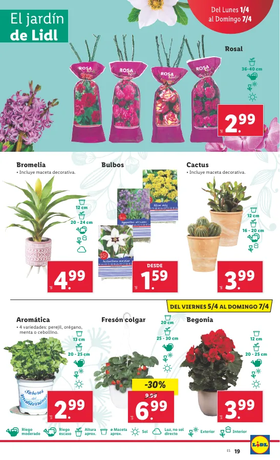 Número de página 39 del folleto promocional de la tienda Lidl - FOLLETO BAZAR 1/4 - fecha de vigencia: desde01.04 bis 30.04